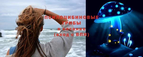 амф Алзамай