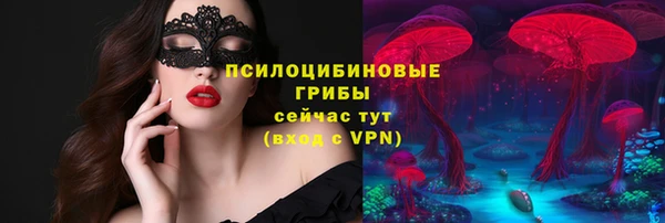 шишки Алексеевка