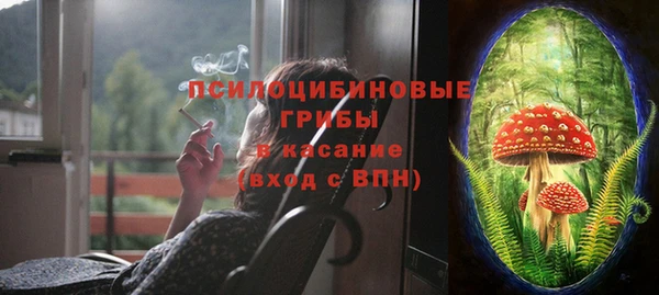 амф Алзамай