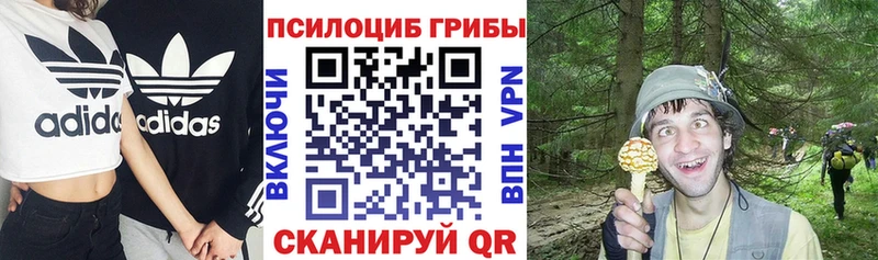 площадка состав  сколько стоит  Белорецк  Псилоцибиновые грибы MAGIC MUSHROOMS 